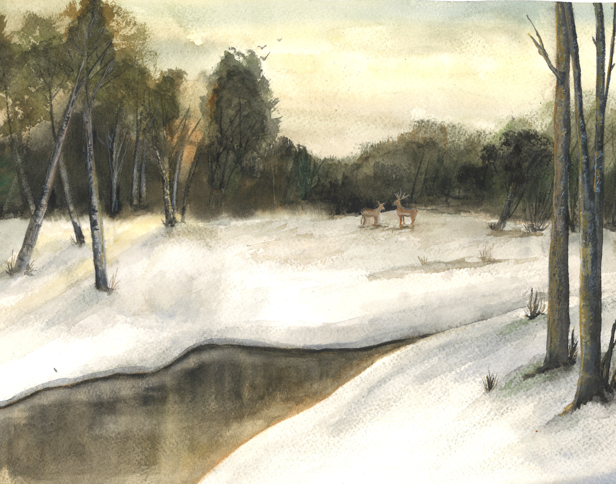 Winter Woods Art Print