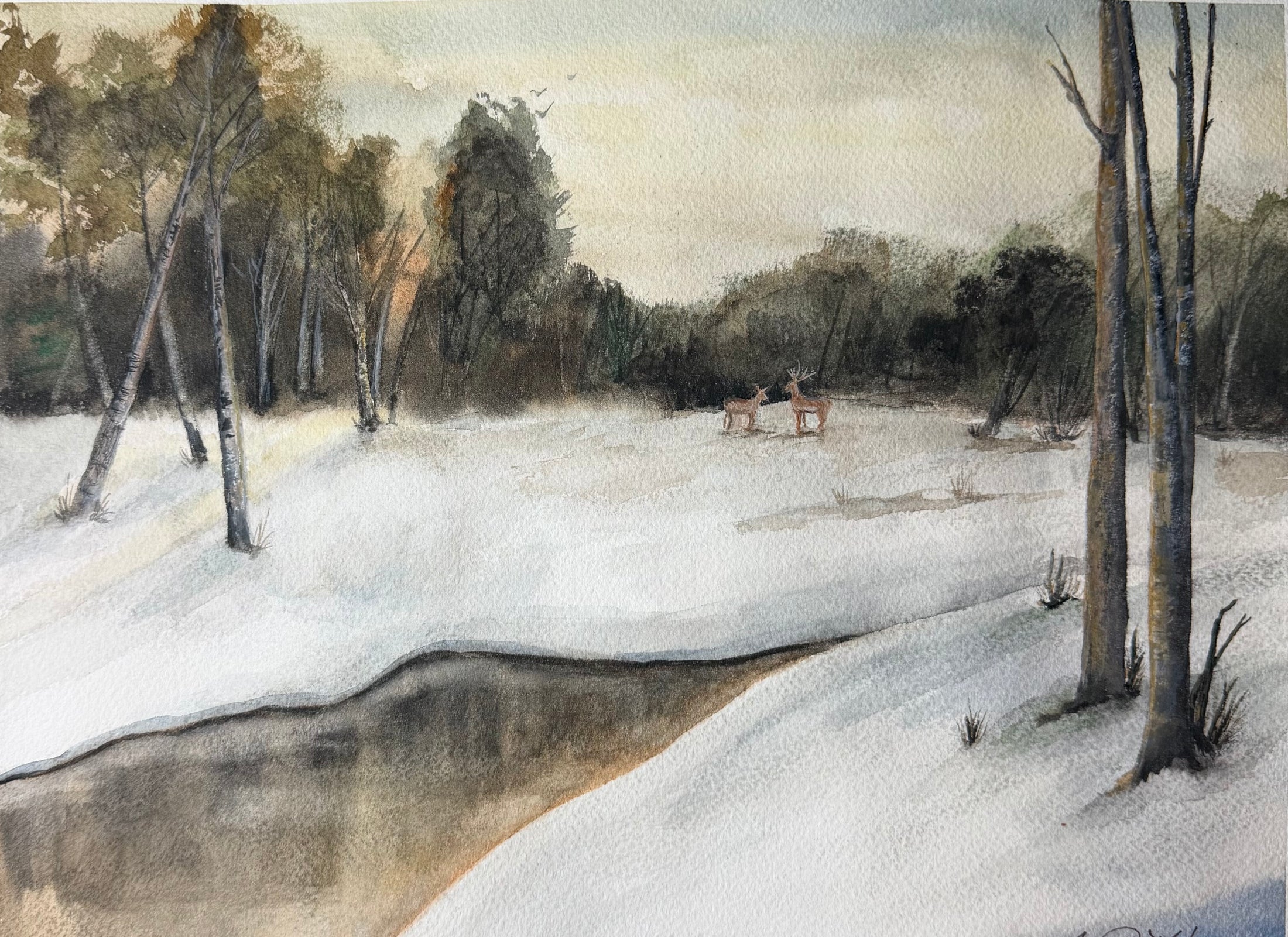 Winter Woods Art Print