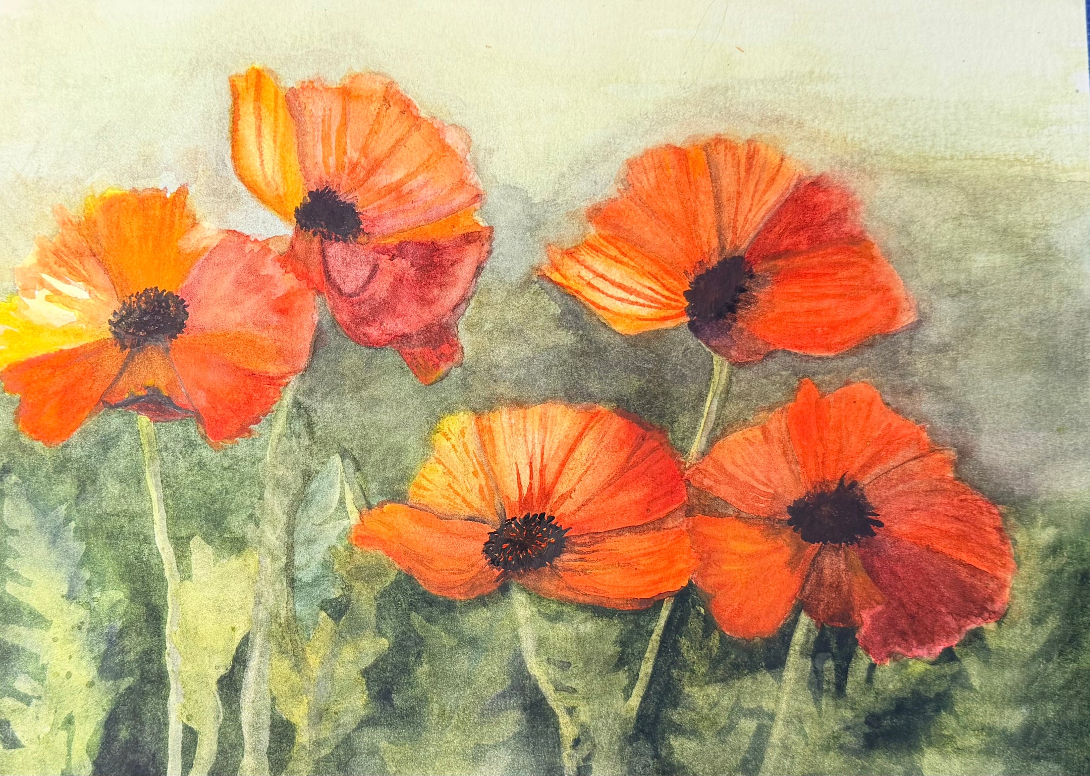 The Garden Poppies - Garden Series Print