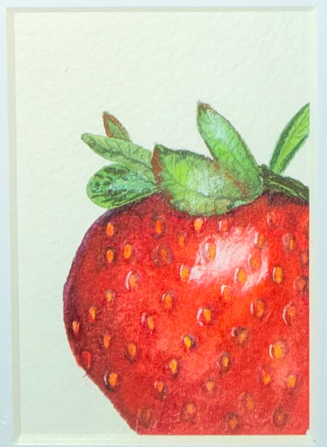 Mini Original Strawberry Studies