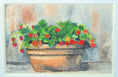 Load image into Gallery viewer, Mini Original Strawberry Studies
