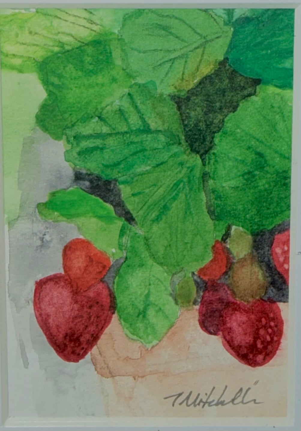 Mini Original Strawberry Studies