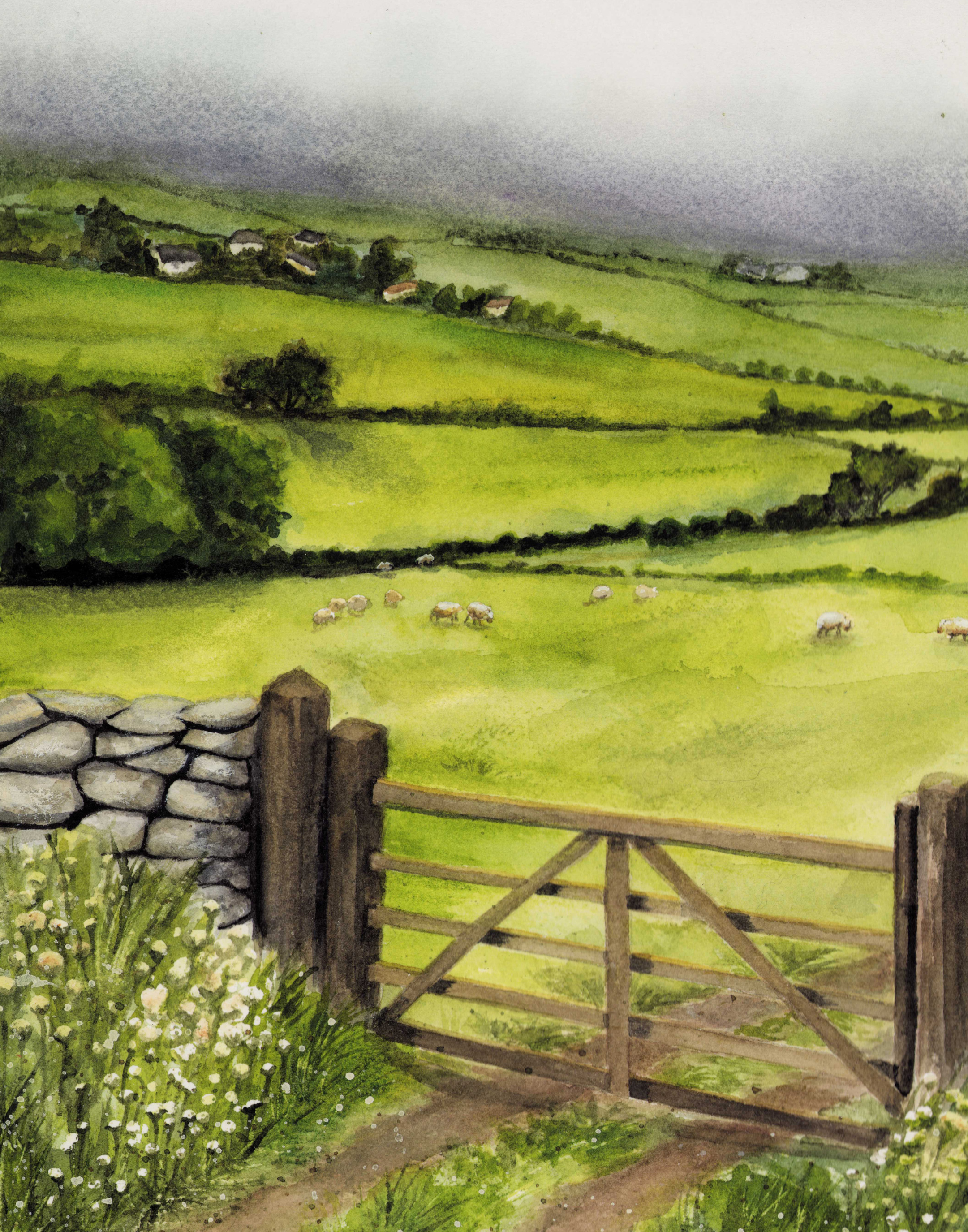 The Fields | Spring in Ireland Landscape Print